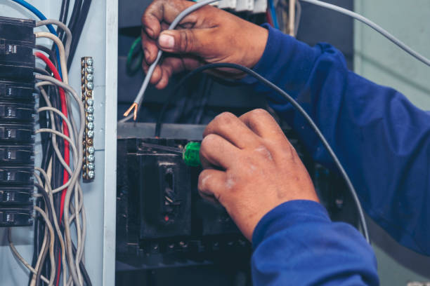 Best Licensed Electrician  in Holliday, TX